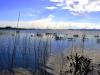 Lagoa dos Quadros - Capão da Canoa