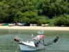 Patricia Strelow: "Passeio de barco pela Baia dos Golfinhos"