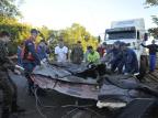 Acidente entre ônibus e caminhão gaúchos deixa pelo menos 26 mortos em Santa Catarina Sirliane Freitas/