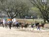 Cavalarianos entram no Parque Maurício Sirotsky Sobrinho