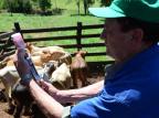 Começa entrega de vacinas contra febre aftosa no Rio Grande do Sul Luís Frey/Especial