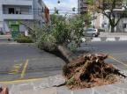 Trânsito é liberado em trecho 
da Avenida José de Alencar na Capital Arivaldo Chaves/Agencia RBS