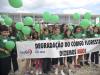 Portando faixas e cartazes, manifestantes foram às ruas