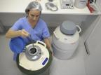 Preparação antes da fertilização in vitro influencia no tamanho dos bebês Adriana Franciosi/Agencia RBS