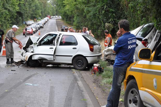 Carro atropela e mata cavalo no Almerinda Chaves