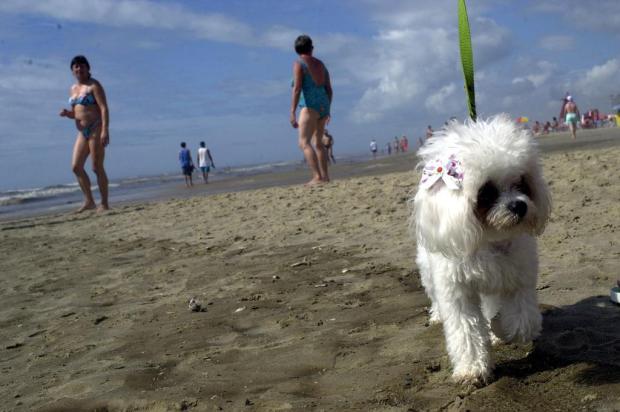 Confira dicas para cuidar do seu animal de estimação nas férias Emílio Pedroso/Agencia RBS