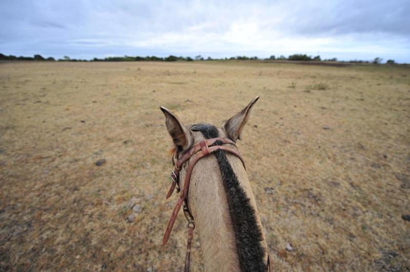 De cima do lombo do cavalo, fot&oacute;grafo Diego Vara registra o campo j&aacute; sem pasto:imagem 6