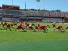 Até o final do treino não havia a confirmação da permanência de D'Ale no elenco colorado
