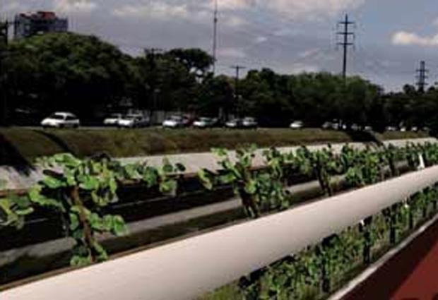 Trecho do guard-rail da ciclovia na Ipiranga entre a Erico e a Azenha será concluído em fevereiro Divulgação/