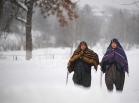 Imagens do inverno europeu