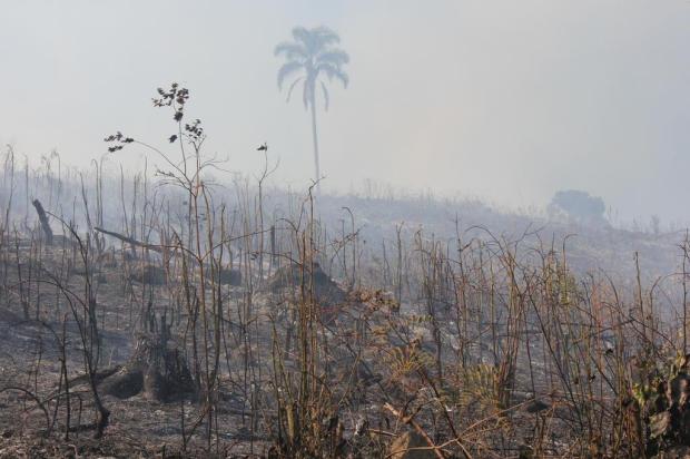 Incêndio atinge área de oito hectares em Erechim Marielise Ferreira/Agencia RBS Incêndio atinge área de oito hectares em Erechim Marielise Ferreira/Agencia RBS