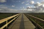 Trapiche da Lagoa minimiza impacto do homem sobre o local (Adriana Franciosi/Agencia RBS)