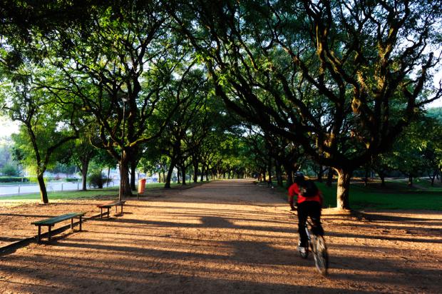 Chuva forte atinge a Fronteira Sul Ronaldo Bernardi/