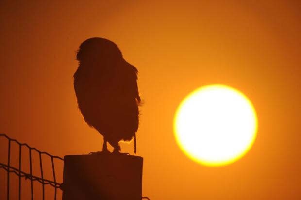 Segunda-feira terá sol na maior parte do Estado Mauro Vieira/