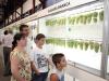 Parque de Exposições da Festa da Uva é aberto ao público às 19h