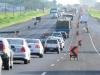 O trecho entre Araranguá e Sombrio da BR-101, que tem apenas uma pista liberada em cada sentido devido a obras, registrou 20 km de fila e lentidão no sentido Sul-Norte
