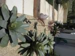 Mostra Casa&Cia Praia 2012: conheça a Casa 5