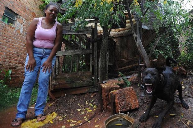 Cão impede família de entrar em casa em São Sepé Jean Pimentel/Agencia RBS