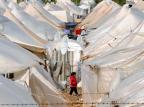 Quase mil sírios buscam refúgio na Turquia em 24 horas Topshots,Bullent Kilic/AFP Quase mil sírios buscam refúgio na Turquia em 24 horas Topshots,Bullent Kilic/AFP