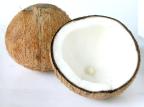 Nutricionista alerta para dietas sem autoria comprovada Stock.xchng/Divulgação