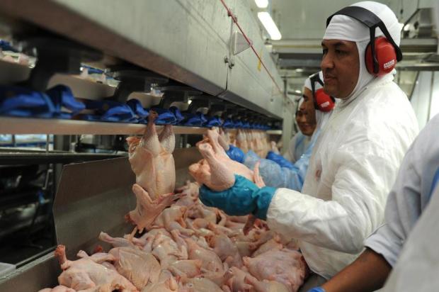 Exportações de frango em setembro igualam volume de 2011 Sirli Freitas/Agencia RBS