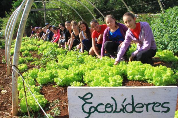 Estudantes aprendem junto à natureza em Canela Cleiton Thiele/
