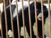 O parque completa 50 anos no dia 1º de maio de 2012