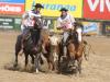 Provas realizadas em Esteio (RS) classificaram oito animais para a final do Freio de Ouro