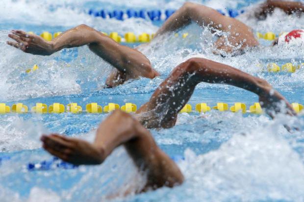 Clube reúne 400 nadadores de Porto Alegre em desafio de natação Ver Descrição/Ver Descrição