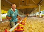 Dividendos da Doux com produtores começam a ser pagos na sexta-feira Miro de Souza/Agencia RBS Dividendos da Doux com produtores começam a ser pagos na sexta-feira Miro de Souza/Agencia RBS