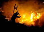Bombeiros combatem fogo em vegetação no Morro da Polícia, em Porto Alegre Lauro Alves/Agencia RBS Bombeiros combatem fogo em vegetação no Morro da Polícia, em Porto Alegre Lauro Alves/Agencia RBS