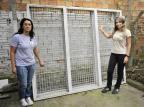 Pais e professores se mobilizam para cercar escola Mateus Bruxel/Agencia RBS