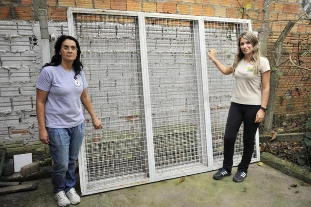 Pais e professores se mobilizam para cercar escola Mateus Bruxel/Agencia RBS
