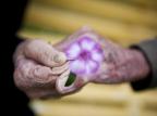 Pesquisa indica que idosos tendem a ser mais satisfeitos com a vida Mateus Bruxel/Agencia RBS Pesquisa indica que idosos tendem a ser mais satisfeitos com a vida Mateus Bruxel/Agencia RBS