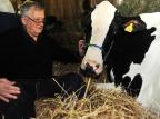 Vaca VB Heloisa Bradley venceu primeiro lugar no Concurso de Ordenha da 35° Expoleite Jean Schwarz/Agencia RBS Vaca VB Heloisa Bradley venceu primeiro lugar no Concurso de Ordenha da 35° Expoleite Jean Schwarz/Agencia RBS