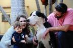 Pesquisas mostram que pessoas ficam mais calmas e aliviadas após fazerem carinho em animais (Emílio Pedroso/Agencia RBS)