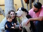 Pesquisas mostram que pessoas ficam mais calmas e aliviadas após fazerem carinho em animais Emílio Pedroso/Agencia RBS Pesquisas mostram que pessoas ficam mais calmas e aliviadas após fazerem carinho em animais Emílio Pedroso/Agencia RBS