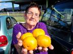 Agricultora viaja 173 km para entregar tangerinas para presidente Dilma Rousseff em Florianópolis Guto Kuerten/Agencia RBS