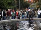 Homem entra no chafariz da Praça Dante Alighieri em Caxias do Sul Maicon Damasceno /