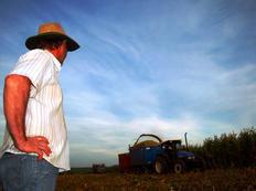 Falta de chuva faz agricultores deixarem lavouras em busca de renda Roberto Witter/Agencia RBS