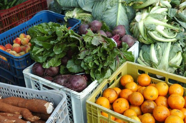 Nutrólogo desvenda alguns conceitos recorrentes quando o tema é alimentação saudável Roni Rigon/Agencia RBS