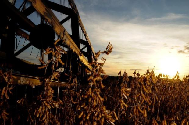 Mesmo com estiagem, RS tem 12,3% da produção agrícola do Brasil, diz IBGE Adriana Franciosi/Agencia RBS Mesmo com estiagem, RS tem 12,3% da produção agrícola do Brasil, diz IBGE Adriana Franciosi/Agencia RBS