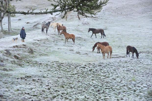 Meteorologia mantém previsão de neve na Serra, mas descarta ocorrência do fenômeno no sul do Estado Roni Rigon/Agencia RBS Meteorologia mantém previsão de neve na Serra, mas descarta ocorrência do fenômeno no sul do Estado Roni Rigon/Agencia RBS