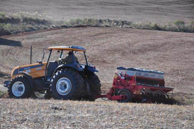 Clima favorável acelera plantio do trigo Diogo Zanatta/Especial
