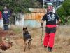 Todos os participantes possuem experiência com o treinamento de cães
