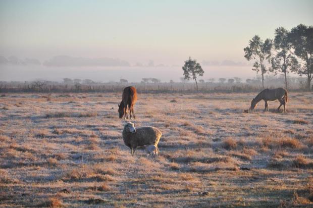 Nesta segunda-feira, pelo menos 15 cidades têm temperatura abaixo de 5°C Nauro Júnior/Agencia RBS Nesta segunda-feira, pelo menos 15 cidades têm temperatura abaixo de 5°C Nauro Júnior/Agencia RBS
