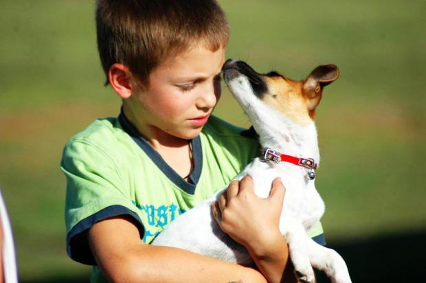 Conviver com cães evitaria algumas infecções em bebês Jamie Woods/Stock.xchng