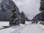 Na região de Icefields, no Canadá, o frio transforma cursos de água em pedras e reserva grandes paisagens Ver Descrição/Agencia RBS Na região de Icefields, no Canadá, o frio transforma cursos de água em pedras e reserva grandes paisagens Ver Descrição/Agencia RBS