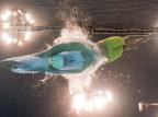 Cielo ressalta equilíbrio e foca nos 50m livre após sexta posição nos 100m François Xavier Marit/AFP Cielo ressalta equilíbrio e foca nos 50m livre após sexta posição nos 100m François Xavier Marit/AFP