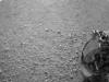 Primeiras imagens captadas pela missão Curiosity, enviada pela NASA a Marte
